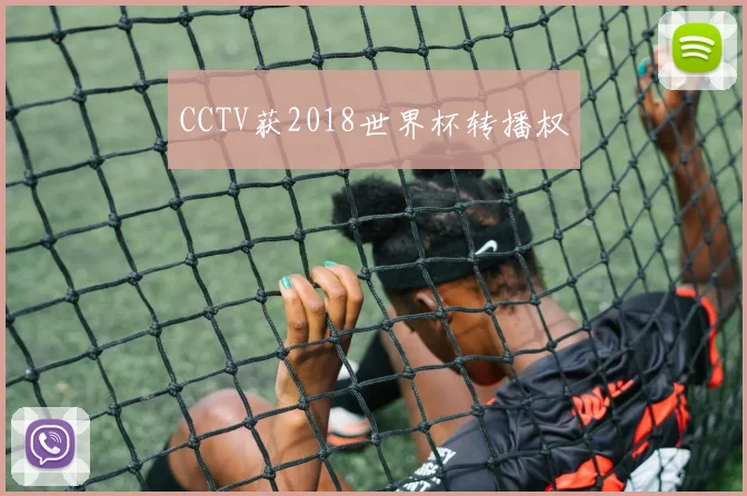 CCTV获2018世界杯转播权