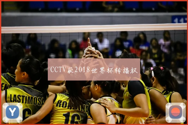 CCTV获2018世界杯转播权
