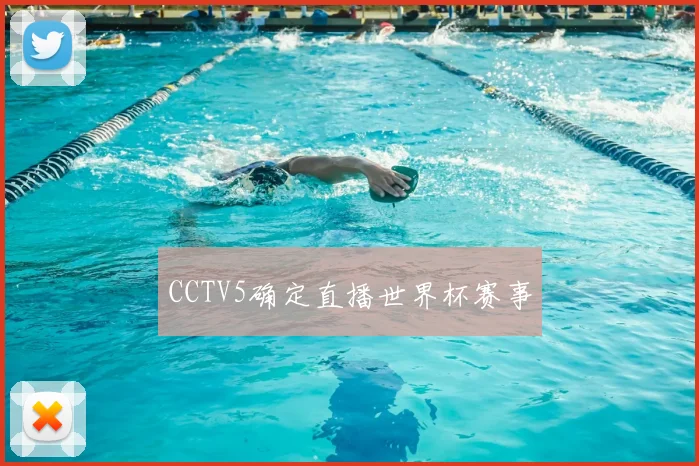 CCTV5确定直播世界杯赛事