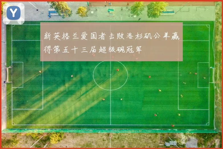 新英格兰爱国者击败洛杉矶公羊赢得第五十三届超级碗冠军