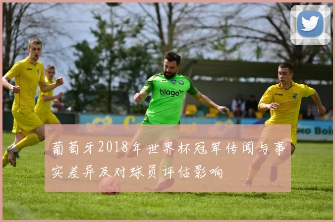 葡萄牙2018年世界杯冠军传闻与事实差异及对球员评估影响