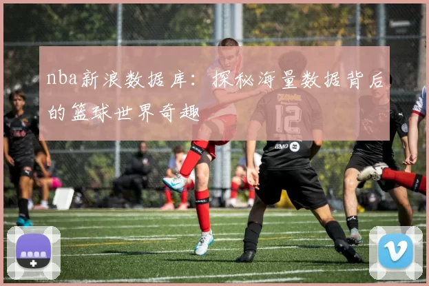 nba新浪数据库：探秘海量数据背后的篮球世界奇趣