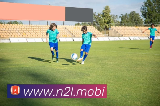 开云app官方在线入口 - 开云kaiyun(中国)服务体系